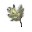glyph