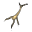 glyph