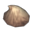 glyph